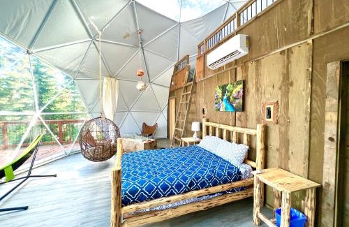 West Glacier Resort | Family-Friendly Geodome Getaway at Triple G’s Resort