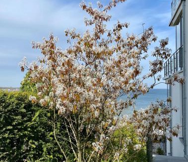 Eckernfoerde Apartment | Luxury Triton Suite with Ocean View and Top Guest Ratings