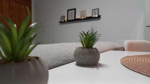Troezen Apartment | Kid-Friendly Escape at TriΖin - Rated 9.8 by Guests