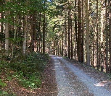 Neudorf bei Passail House | Family-Friendly Retreat at Troadkastn Familie Fritz