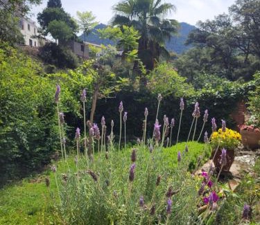 Eslida Ski Chalet | Discover Trocito de Paraíso: Pet-Friendly & Ocean Views