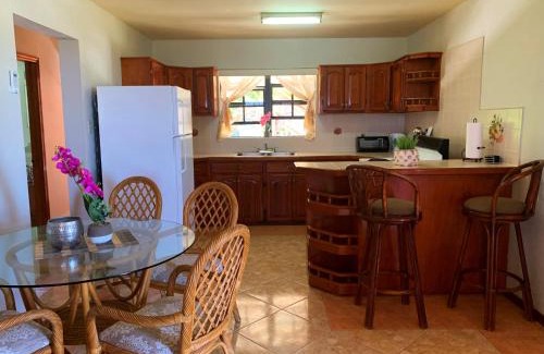 Valley Church Apartment | Relax in the Tropical Apartment 1B for Your Getaway