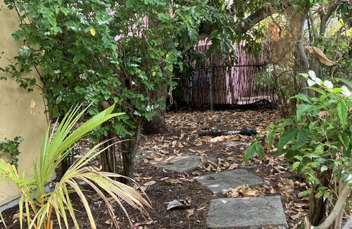 El Cid Cottage | Charming Tropical Cottage in Palm Beach Historic District
