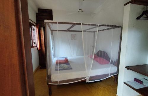 Tangalle House | Inviting Tropical Garden: Oceanfront Stay with Pool Access