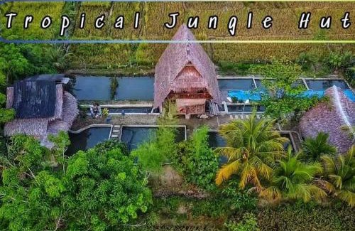 Bohorok House | Budget-Friendly Tropical Jungle Hut with Family Amenities