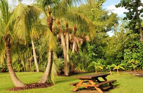 Sanibel House | Charming Sanibel Cottage: Pet-Friendly Retreat Near Beach