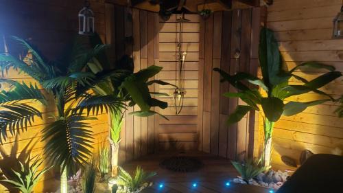 Provin House | Unwind at Tropical Spa: Perfect for Relaxation & Dining