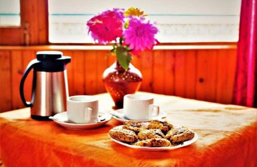 Simsa Village Hotel | TRPOTELS Kanyal Road AT Manali