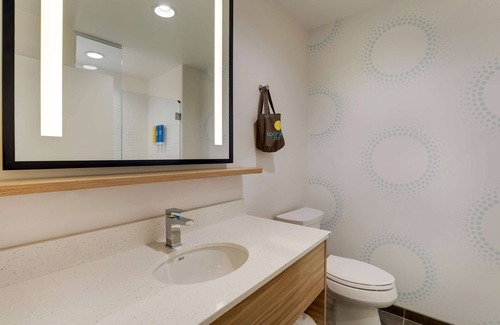 Wilmington Hotel | Discover Tru By Hilton Leland Wilmington: Pet-Friendly Comfort