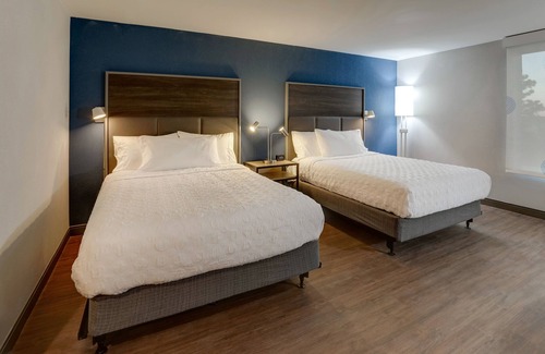 Wilmington Hotel | Discover Tru By Hilton Leland Wilmington: Pet-Friendly Comfort