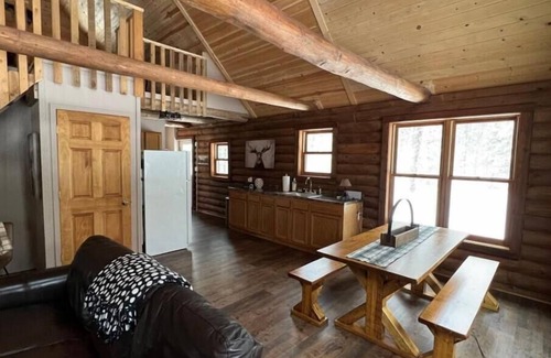 Newberry Cabin | Relaxing True North Cabin Near Tahquamenon Falls - 10/10!