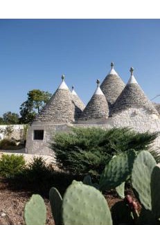 Selva di Fasano House | Discover Trulli Clematis B&B with Pool & Ocean Views