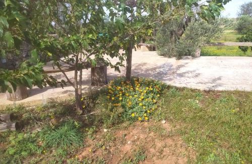 Alliste House | Experience Trullo Contrada Stracca: Pet-Friendly Bliss
