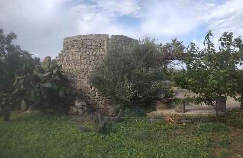 Alliste House | Experience Trullo Contrada Stracca: Pet-Friendly Bliss
