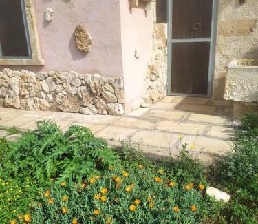 Alliste House | Experience Trullo Contrada Stracca: Pet-Friendly Bliss