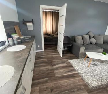 Panevezys county Apartment | Family-Friendly Trumpalaikė Nuoma with Top Guest Ratings