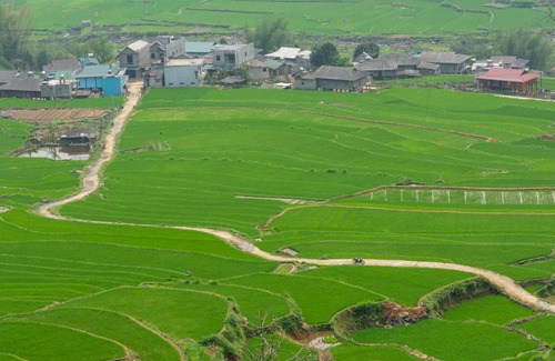 Tram Tau House | Cozy Truong Nhan Homestay: Pet-Friendly Family Retreat