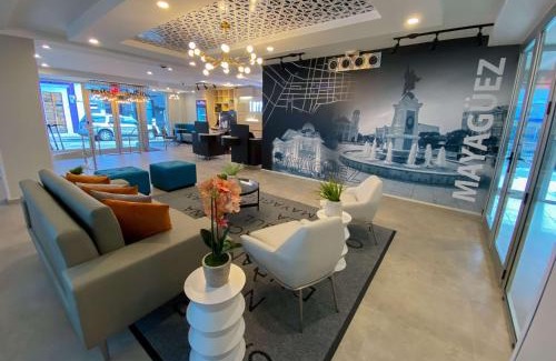 Rio Hondo Hotel | Discover TRYP by Wyndham Mayaguez: Pet-Friendly Comfort