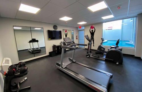 Rio Hondo Hotel | Discover TRYP by Wyndham Mayaguez: Pet-Friendly Comfort