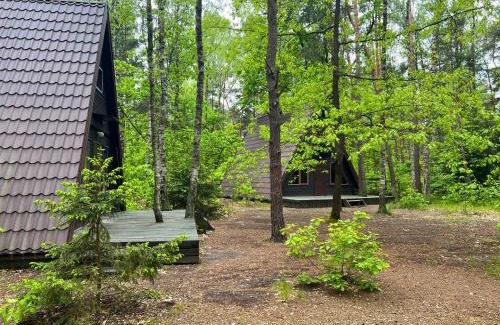 Wilga House | Family-Friendly Retreat at Domki w Wildze - Guest Rated 9.8