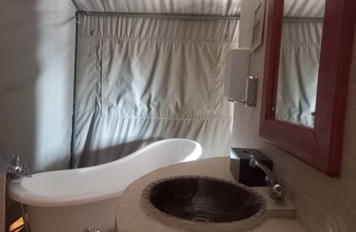 Kgalagadi District Hotel | Discover Tsabong Eco-Tourism Camel Park with Family-Friendly Amenities