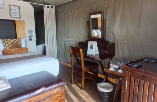Kgalagadi District Hotel | Discover Tsabong Eco-Tourism Camel Park with Family-Friendly Amenities