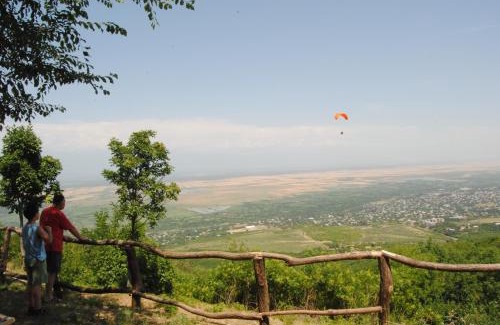 Sighnaghi Apartment | Cozy Tsanava's Cottage in Sighnaghi - Family-Friendly Retreat