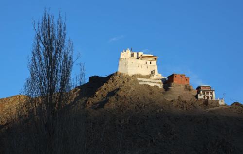 Leh House | Tsanavilla guest house