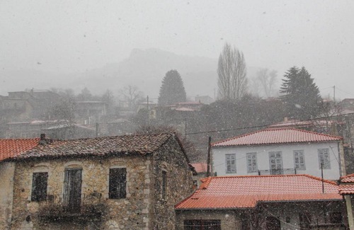 Trikolonoi House | Discover Tsarbou Guesthouse: Pet-Friendly with Breakfast