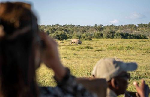 Vaalwater Hotel | Discover Tshwene Lodge: Family-Friendly Retreat with Hot Tub