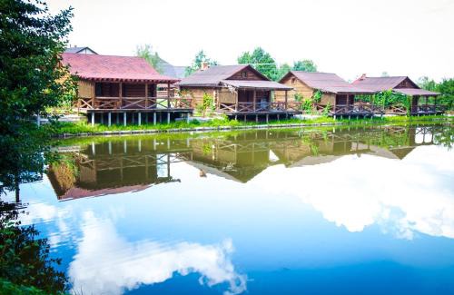 Lviv Oblast Resort | Pet-Friendly Tsisarske Urochyshe with Oceanfront Pool