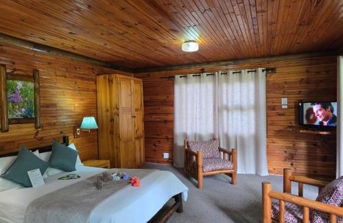 Storms River Hotel | Discover Tsitsikamma Lodge & Spa: Ideal for Families and Relaxation