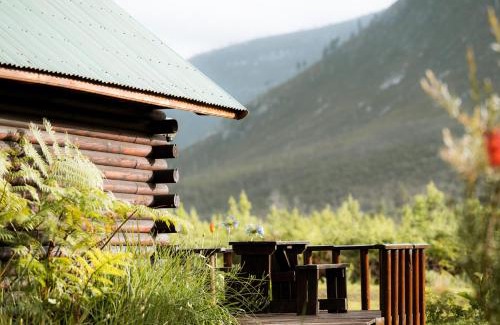 Storms River Hotel | Discover Tsitsikamma Lodge & Spa: Ideal for Families and Relaxation