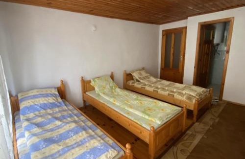 Dobrinishte House | Cozy Tsvetkovi Guest House: Pet-Friendly with Breakfast