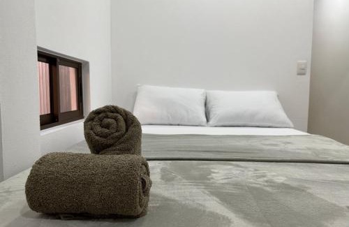 Tortuguero Hotel | Cozy Tuanis Guest House: Pet-Friendly with Ocean Views