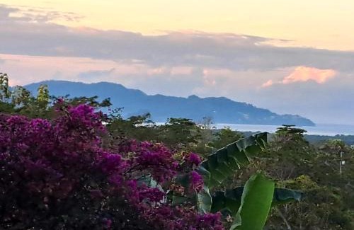 Tarcoles Bed & Breakfast | Cozy Tucanes Ridge Bed and Breakfast with Hot Tub Access
