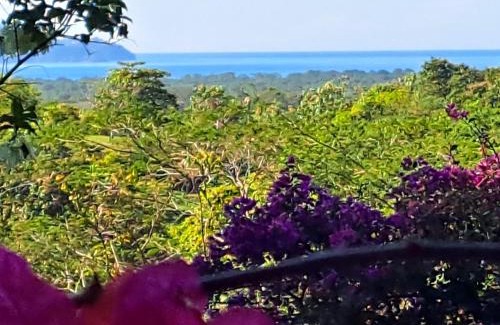 Tarcoles Bed & Breakfast | Cozy Tucanes Ridge Bed and Breakfast with Hot Tub Access