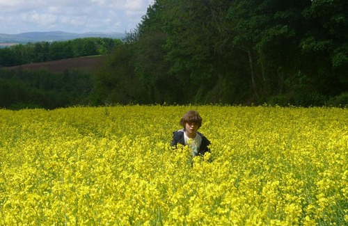 Saint Ann's Chapel House | Experience Tuell Farm Cottages: Pet Friendly & Family Approved