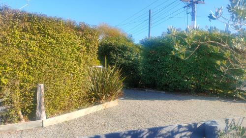 Martinborough House | Discover Tui Cottage: Pet-Friendly Stay with Top Reviews