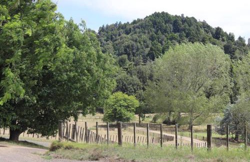 Waikato District House | Family-Friendly Tui Ridge Cottage - Rated 9.2/10 by Guests