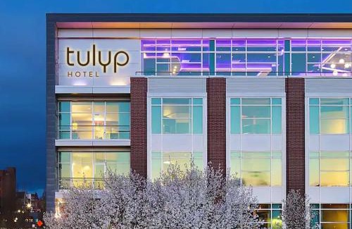 Holland Hotel | Discover Tulyp, Tapestry Collection by Hilton with Top Amenities
