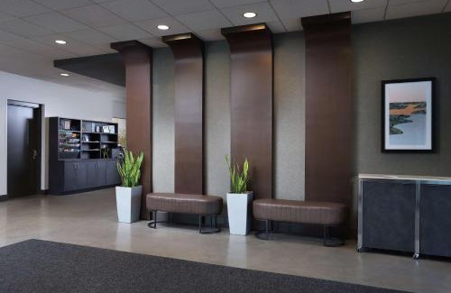 Holland Hotel | Discover Tulyp, Tapestry Collection by Hilton with Top Amenities