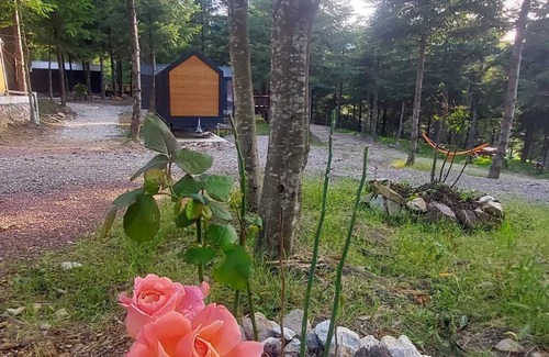 Kartepe Cabin | Top-Rated Tumba Sisli Vadi: Family-Friendly & Accessible Stay