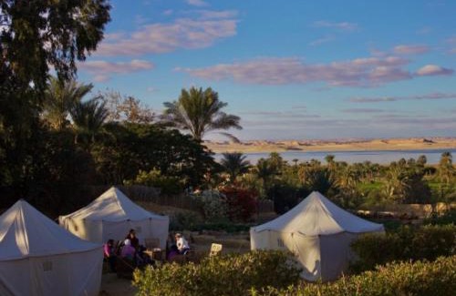 Tunis Village Other | Tunis Camp Fayoum