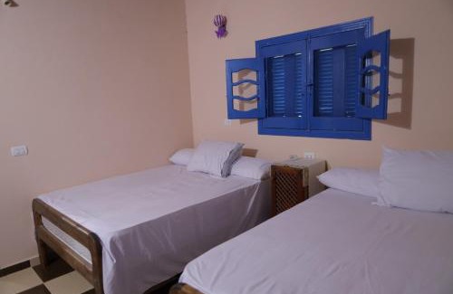 Tunis Village Ski Chalet | Experience Tunis Village Chalet: Pet-Friendly Ocean Views