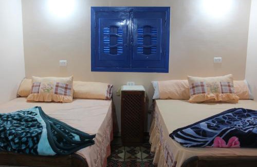 Tunis Village Ski Chalet | Experience Tunis Village Chalet: Pet-Friendly Ocean Views