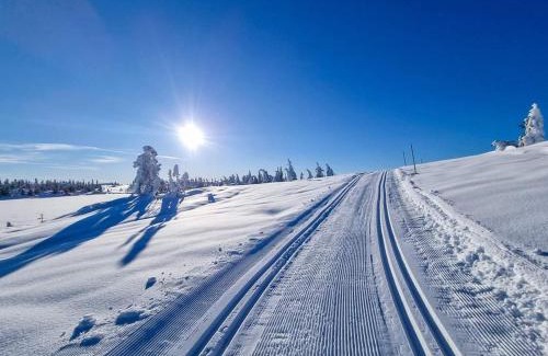 Bolkesjo House | Discover Turibu: Cabin Near Thrilling Hiking & Skiing