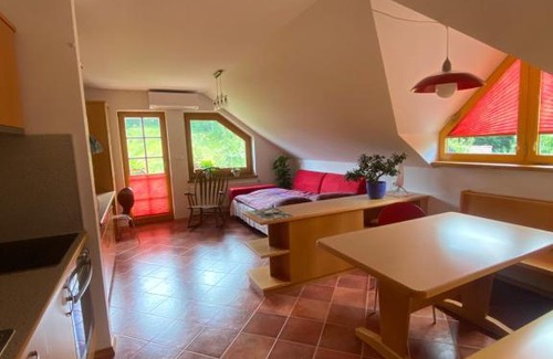 Vidrga Apartment | Discover Turistična kmetija Gracarjeva domačija Retreat