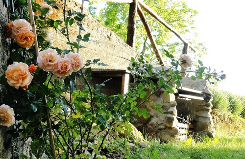 Turlago Apartment | Discover Turlago: Authentic Tuscany with Pool & Spa