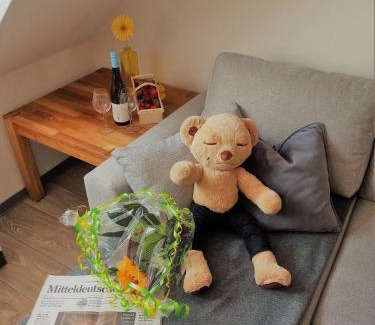 Coswig Apartment | Experience Individual Service at Turmblick Gästequartier